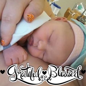 Meet your Posher, Shelby